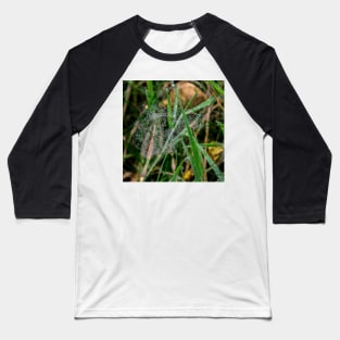 Beautiful spider web with drops of rain Baseball T-Shirt